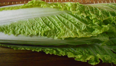 photo of asian lettuce