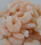 small plain shrimp for sushi rice bowl, chirashi